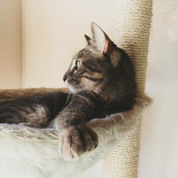 MEET THE POSHER - Picture 8 of 8